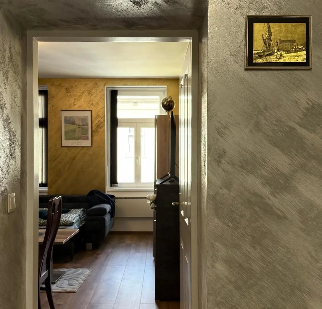 Srna Apartment Vienna