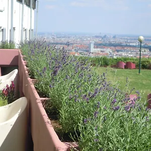 Hostel Palace, Vienna